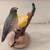 Seagull Pelican Ostrich Exotic Bird 13 thumbnail