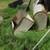 horse hay feeder wall mount 4 thumbnail