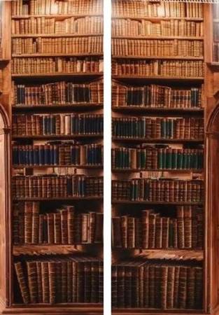 Curtains ONE OF A KIND Bookcase Curtains --- $20.00 per SET - $20 (Lula)63436961989761120