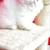 Persian Kitten 2 thumbnail