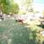 Huge Estate Sale on Anita St. Harper Woods! 1 thumbnail