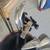Honma beres golf clubs 5 thumbnail