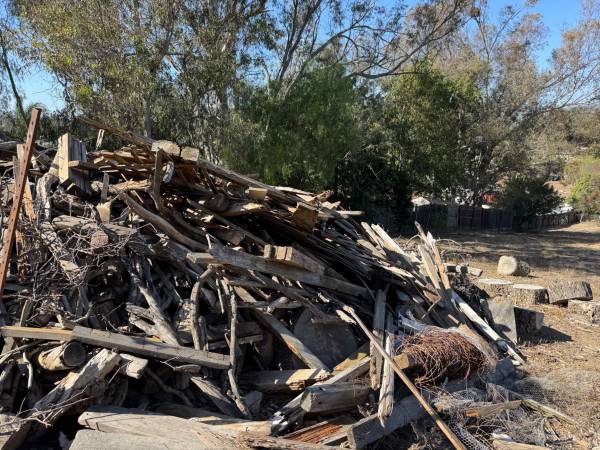Free Fire woods Bonfire easy access 1