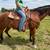 20 yr. Old Bay Mare 2 thumbnail
