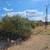 Land Opportunity North of Phoenix 3 thumbnail
