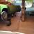 1974 Impala sport coupe 1 thumbnail