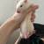 Rat rehomeing 2 thumbnail