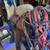Large Horse Tack Lot for Sale Western Saddle plus more 3 thumbnail