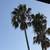 Week in Paradise at Harbortown Point, Ventura - 9/26 thru 10/3 3 thumbnail