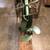 JOHNSON 3 HP outboard motor 2 thumbnail