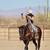 apache junction horse board 1 thumbnail
