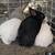 Rabbits 4 thumbnail