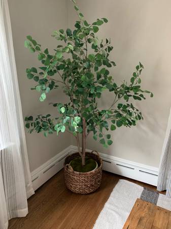 72" Faux Ficus Tree Studio McGee 1