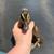 Ducklings 1 thumbnail