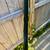 4 Feet Sturdy Duty Metal Fence Post 4 thumbnail