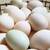 Local Duck & Chicken Eggs 3 thumbnail