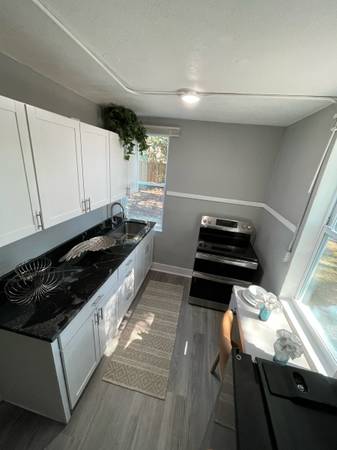 $1,995 / 1br - St Pete Apartment (Saint Petersburg)63991229671299124