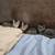 Rehoming almost grown up kittens 10 thumbnail