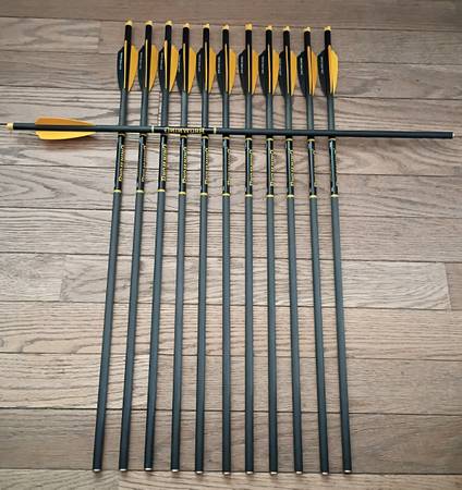1 Dozen New Browning Carbon Crossbolts 22" long 1