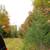 Cheap Land in Izard Co – $162 Down Special 6 thumbnail