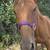 Thoroughbred horse (mare) 1 thumbnail