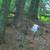 Maine-Pristine 9.5 Ac Cobscoot Bay with 565' Bay frontage 11 thumbnail