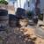 28 Tires Use As Planters 2 thumbnail
