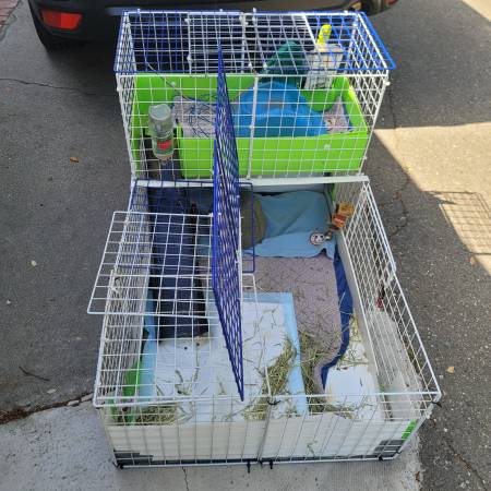 pets. .small dog house 1