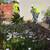 🏡Get the BEST for Less: Landscaping & Tree Services with 15% OFF🏡 11 thumbnail