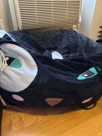 Bean Bag 1