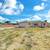 5 Bed 2 Bath Home w/ Garage and Large Yard in West Lancaster for Rent 2 thumbnail