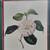 Colorful J.J. Jung FLORAL Print In Gold Frame 4 thumbnail