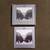 U2 BY U2 Book and Double CD and DVD SET..all in Excellent Condition!!! 1 thumbnail