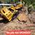 Stump Grinding and Tree Service 7 thumbnail