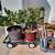 Naval Orange and Lime tree 2 thumbnail
