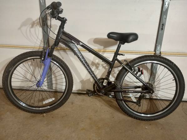 Schwinn Sidewinder 1