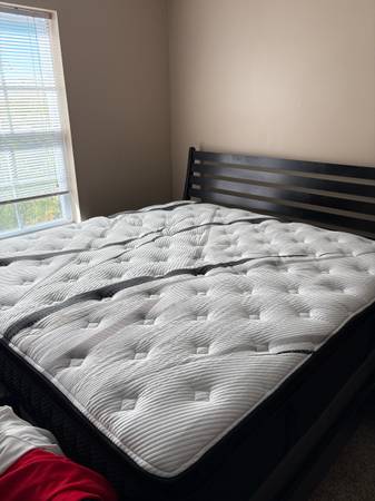 Never Used Mattresses All New $10 Can Take Home 1