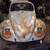 1965 VW Bug 2 thumbnail