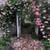 $1100 Downtown Cloverdale - Shared home 7 thumbnail