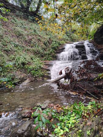 Country acres
$119,000
                        Moravia N.Y. Country acres
$119,000
                        Moravia N.Y.