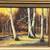 1974 Autumn Forest Oil Painting by Cal. artist E. Larri Cusolito 2 thumbnail