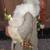 Father Christmas 2000 Large Statue Figurine pack of toys 3 thumbnail