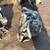 ★2010-2016 BUICK LACROSSE - AUTOMATIC TRANSMISSION-#M17637 ★ 4 thumbnail