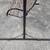 The Hammock Source Steel Swing Stand plus Bench Swing 4 thumbnail