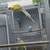 Indian ringneck 3 thumbnail