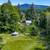 PEACEFUL, PARK-LIKE 17.91 ACRE PROPERTY WITH SUBDIVISON POTENTIAL! 6 thumbnail