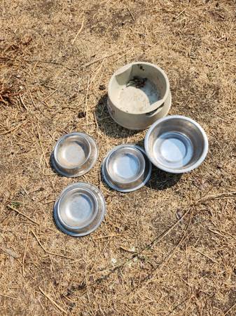 5 pet feeding bowls 1