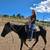 Trail horse for sale 1 thumbnail
