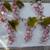 Hand made beautiful acrylic grape clusters set of 6 10 thumbnail