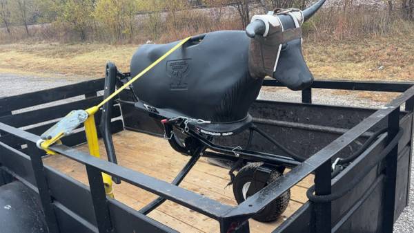 7k Something steer Roping sled 1